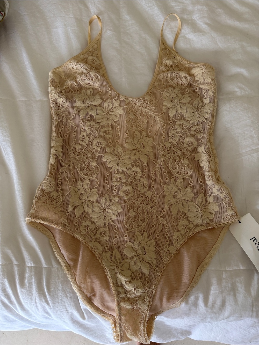 Zimmermann Lace One-Piece Bodysuit in Beige